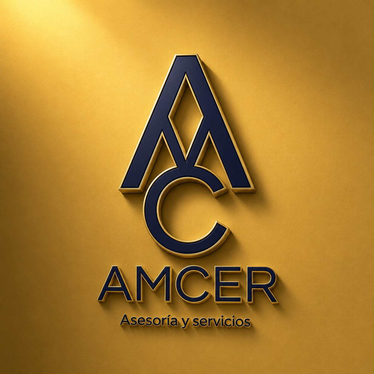 Logo de AMCER